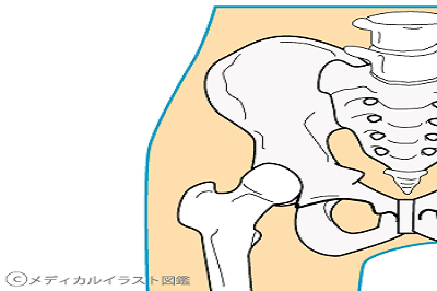 骨盤揺らし　～　身体の動きの中心　その3