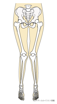 女性と内股　～　膝の痛みからお尻と脚の引き締めまで　その２