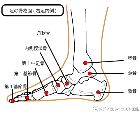 足首の回し方　～　ふくらはぎをすっきり　その２