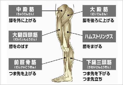 ラグビーとハムストリングの柔軟性 その１