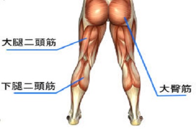 楽に、美しく　～　正しい階段の登り方　その２