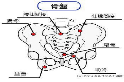 骨盤揺らし　～　身体の動きの中心　その１