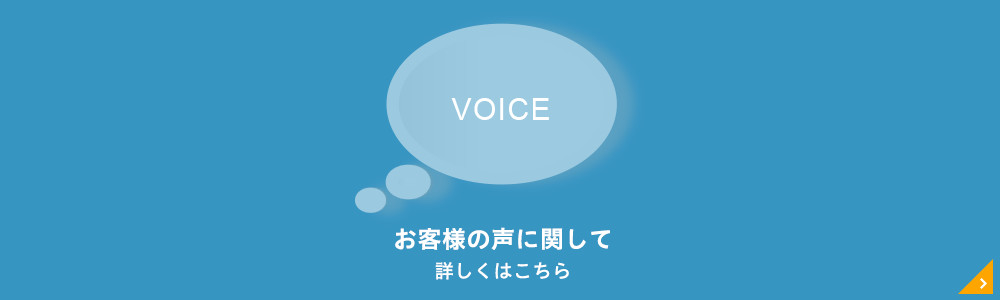 VOICE